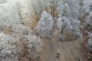Frische Weihnachtswanderung in den Kaapse Bossen