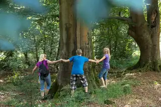 OERRR (8-12 Jahre) Bäume auf der Veluwezoom