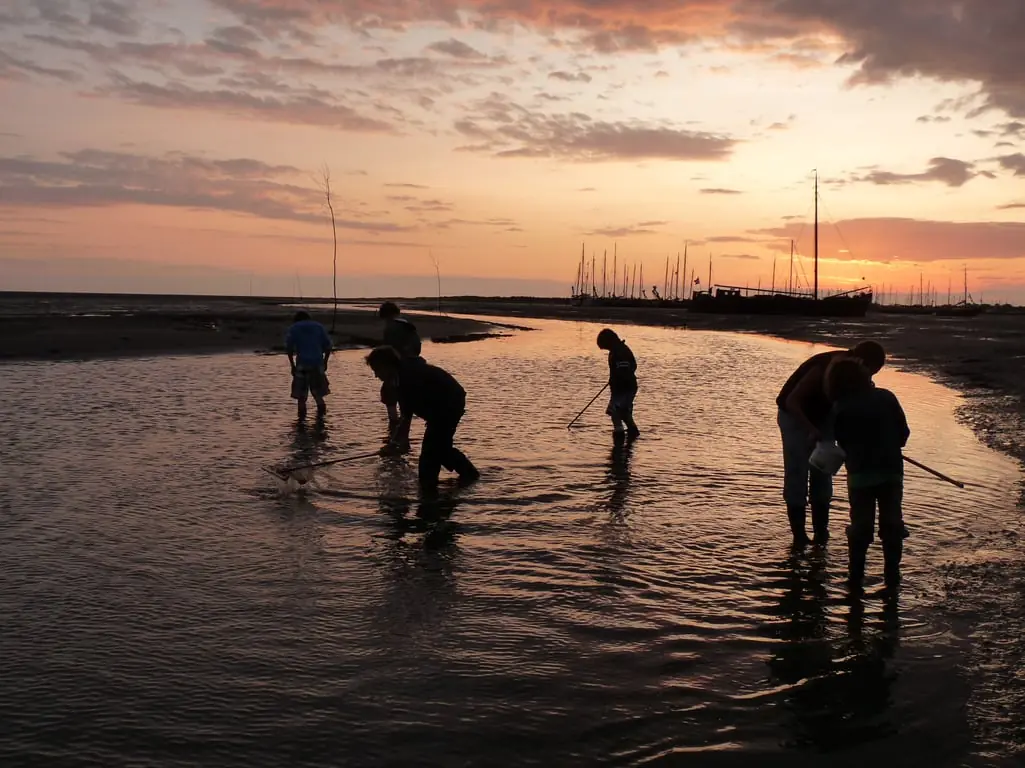 Abendwatt Schiermonnikoog — Jachthaven Schiermonnikoog, Schiermonnikoog