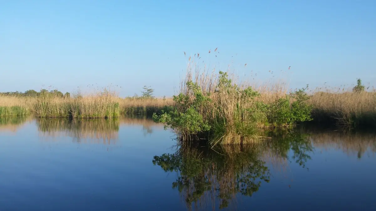 Abendliche Bootsfahrt auf den Ankeveense Plassen — Ankeveense IJsclub, Ankeveen
