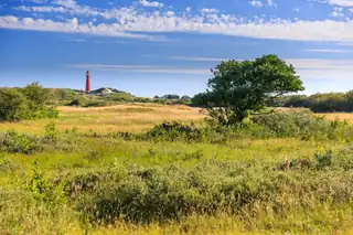 Wanderung um den Westen während des Schiermonnikoog Festivals