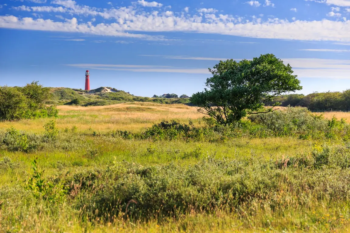 Wanderung um den Westen während des Schiermonnikoog Festivals — Informatiecentrum het Baken, Schiermonnikoog
