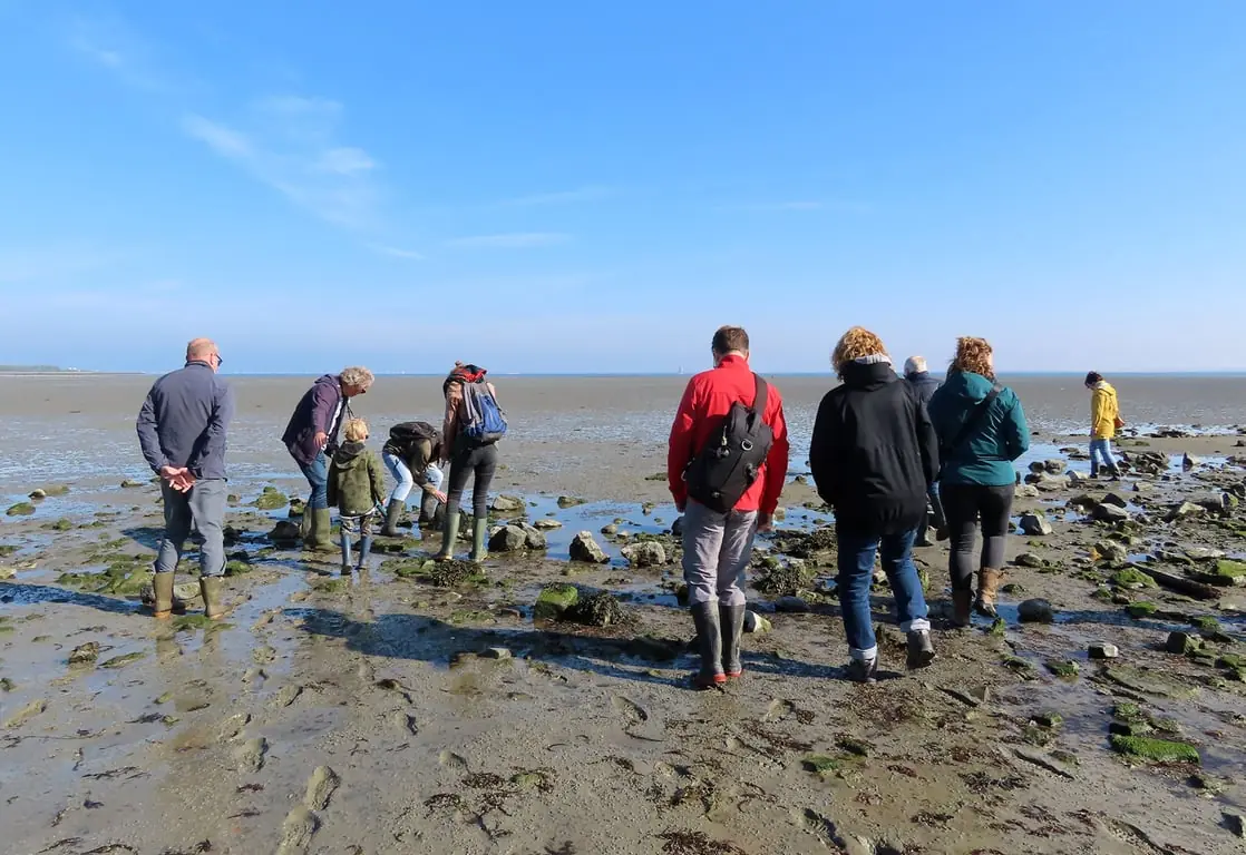 Slikkentocht Kattendijkse Plaat - Oosterschelde — Kattendijke, Parkeerplaats Oude Zeedijk, Kattendijke