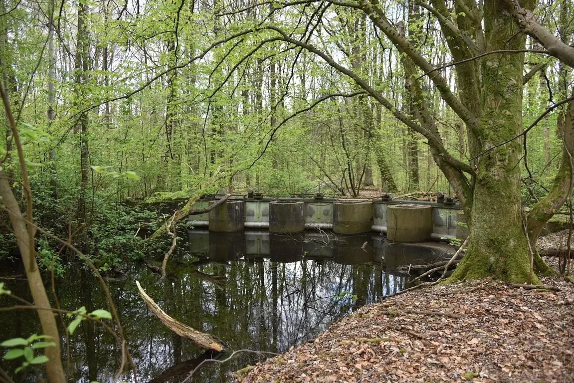 Ontdek de waterwerken in het Waterloopbos — Het ProefLab, Marknesse