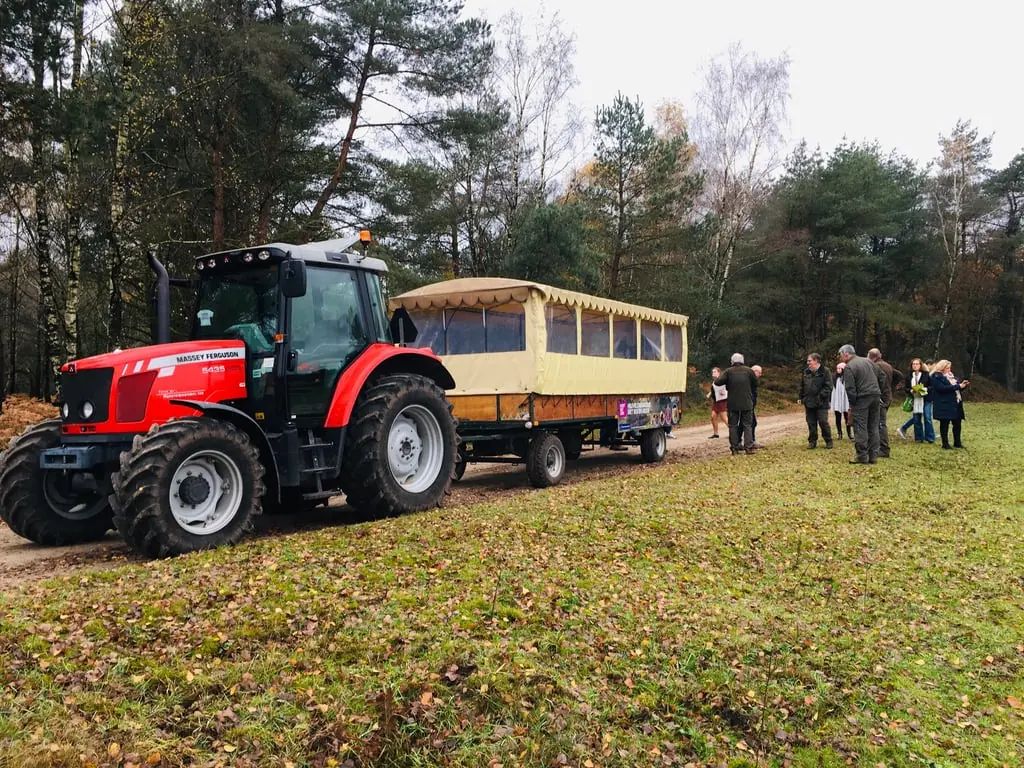 Die Veluwe mit der Kutsche erleben - bei Loenen — Loenense Enk, De Groote Modderkolk, Loenen (Gld.)