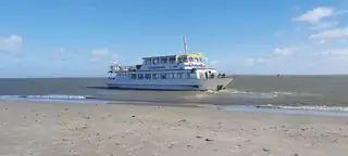 Seehund-Beobachtungstour mit Sandbank-Exkursion (Silverwind)