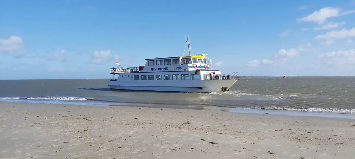 Seehund-Beobachtungstour mit Sandbank-Exkursion (Silverwind) — Schiermonnikoog, Veerdam, Schiermonnikoog