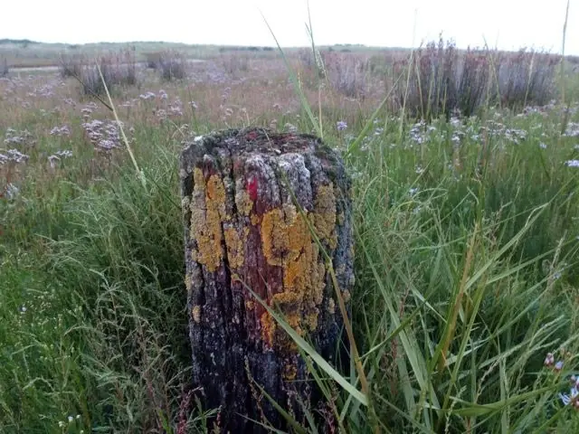 Strandpfahlwanderung Schiermonnikoog — Informatiecentrum het Baken, Schiermonnikoog