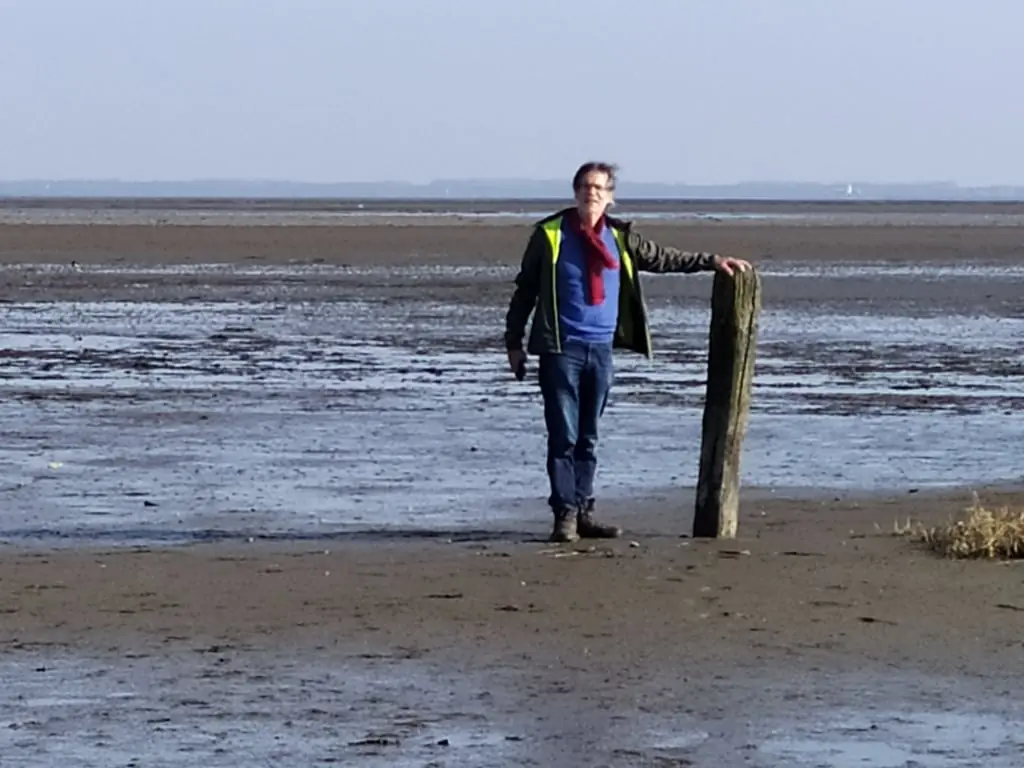 Treue Wächter in den Dünen — Informatiecentrum het Baken, Schiermonnikoog