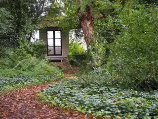 Forest Bathing at Buitenplaats De Tempel