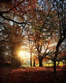 Geführte Wanderung im Oktober