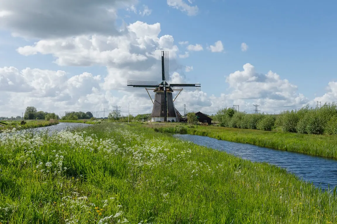 Nationaler Mühlentag - De Onrust am Naardermeer — Molen De Onrust, Muiderberg