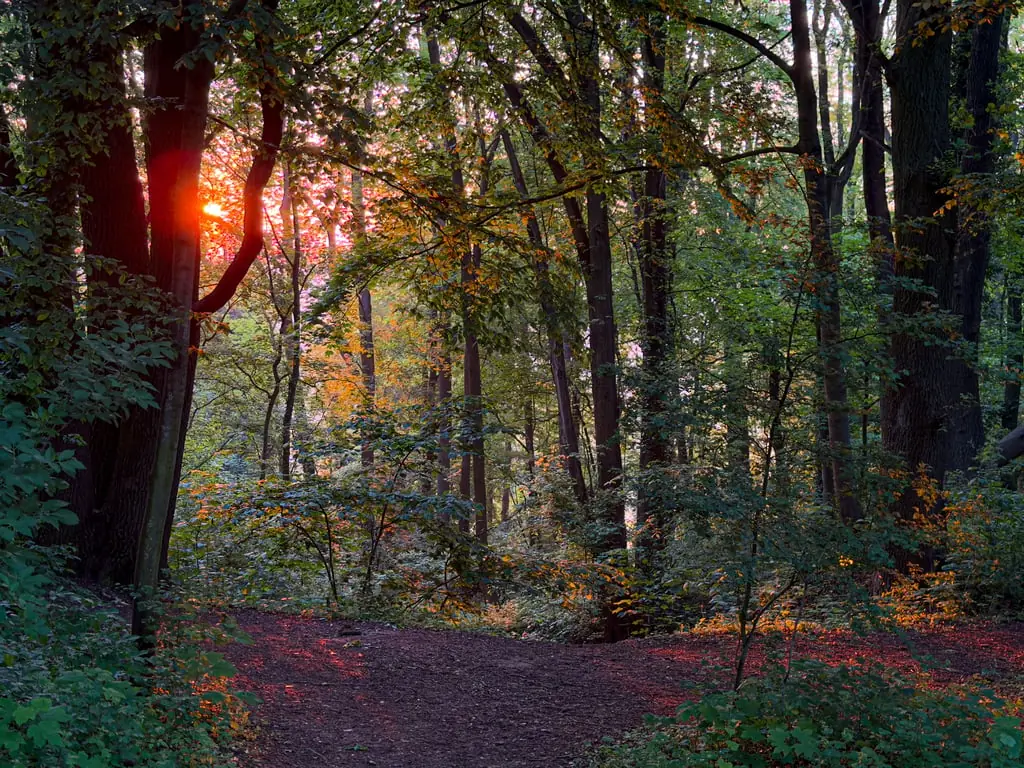 Exkursion: Das Erwachen der Natur auf dem Sint-Pietersberg — Fort Sint Pieter, Maastricht