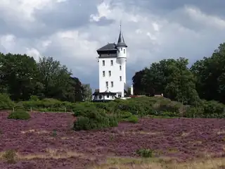 Wanderung mit dem Förster auf der Sprengenberg