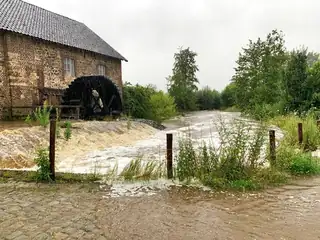 Klimawanderung mit dem Förster