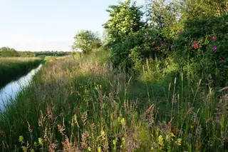 Taste Nature in the Voedselbos of Haarzuilens