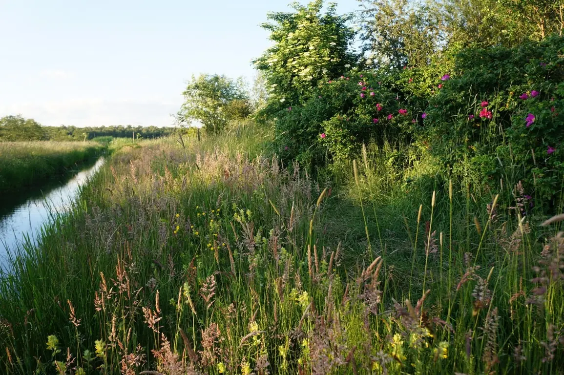 Taste Nature in the Voedselbos of Haarzuilens — Kapschuur Haarzuilens, Utrecht