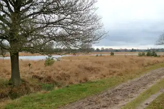 Lange Wanderung durch die verschiedenen Landschaften der Kampina
