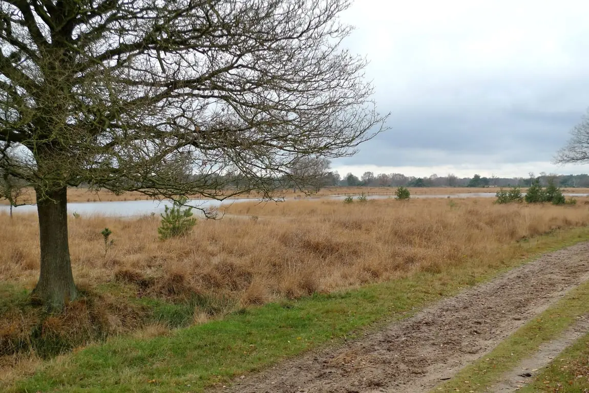 Lange Wanderung durch die verschiedenen Landschaften der Kampina — Parkeerplaats Huisvennen - Roond, Boxtel