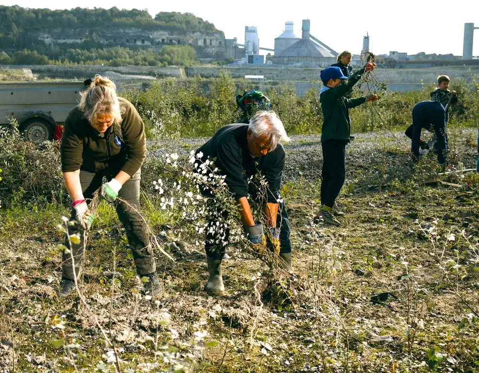 Naturarbeitstag ENCI-Steinbruch - Mach mit! — D'n Observant, Maastricht