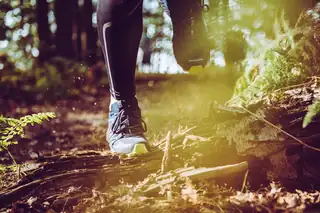Hardloopexcursie Voornes Duin 12 km