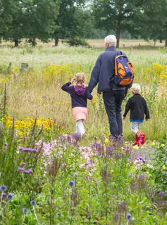 Late-summer walk with the forest ranger