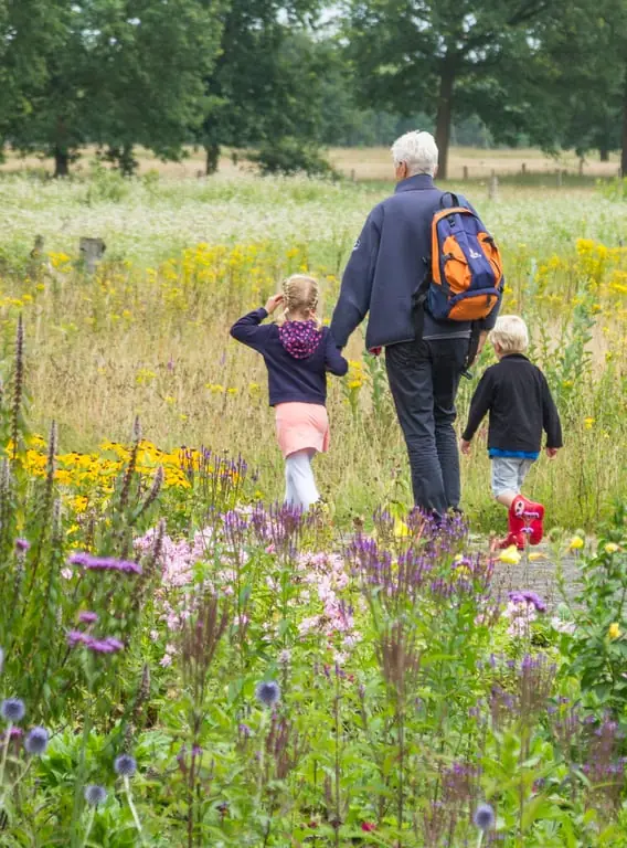 Late-summer walk with the forest ranger — Bezoekerscentrum Dwingelderveld, Ruinen