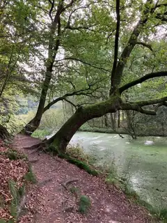 Herbstsafari entlang der Regge