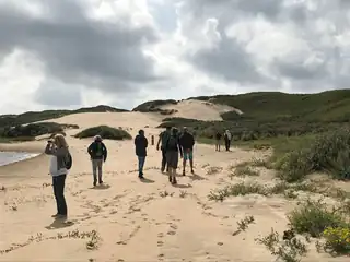 Mit dem Fahrrad durch wandernde Dünen