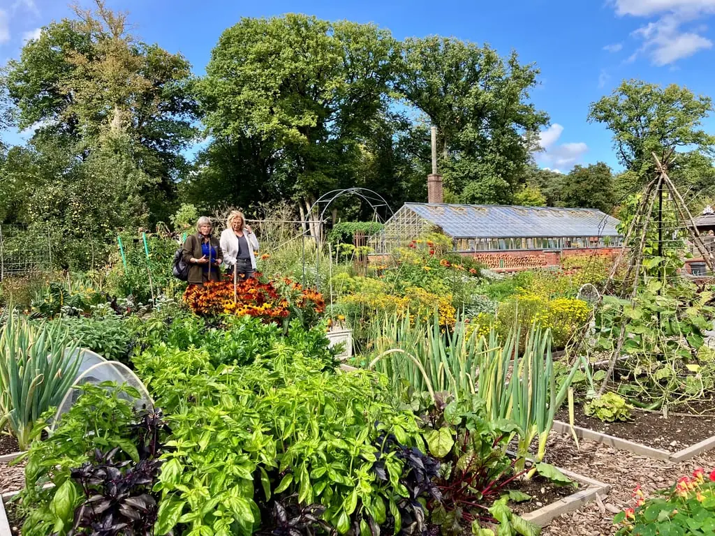 Historischer Nutzgarten mit Gemüsemarkt geöffnet — Landgoed Mookerheide, Molenhoek