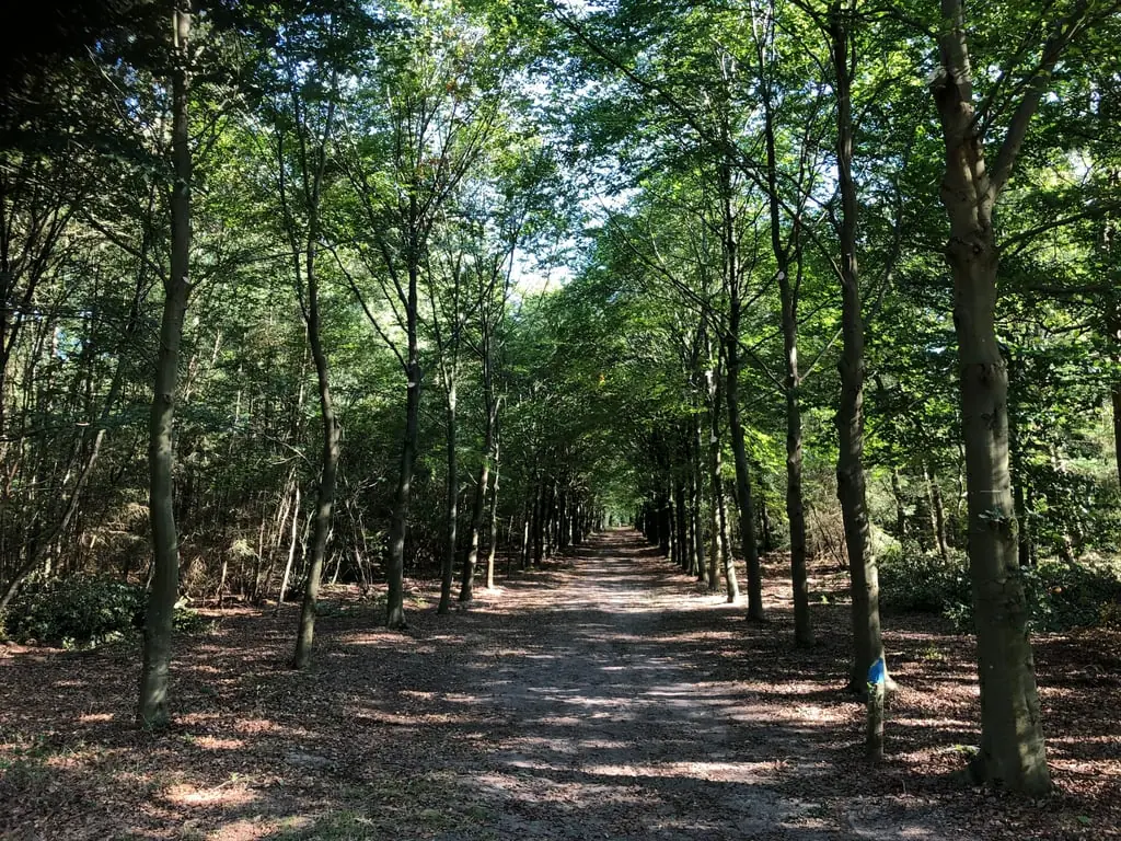 Wanderung über Groevenbeek — Theehuis Oud Groevenbeek, Ermelo