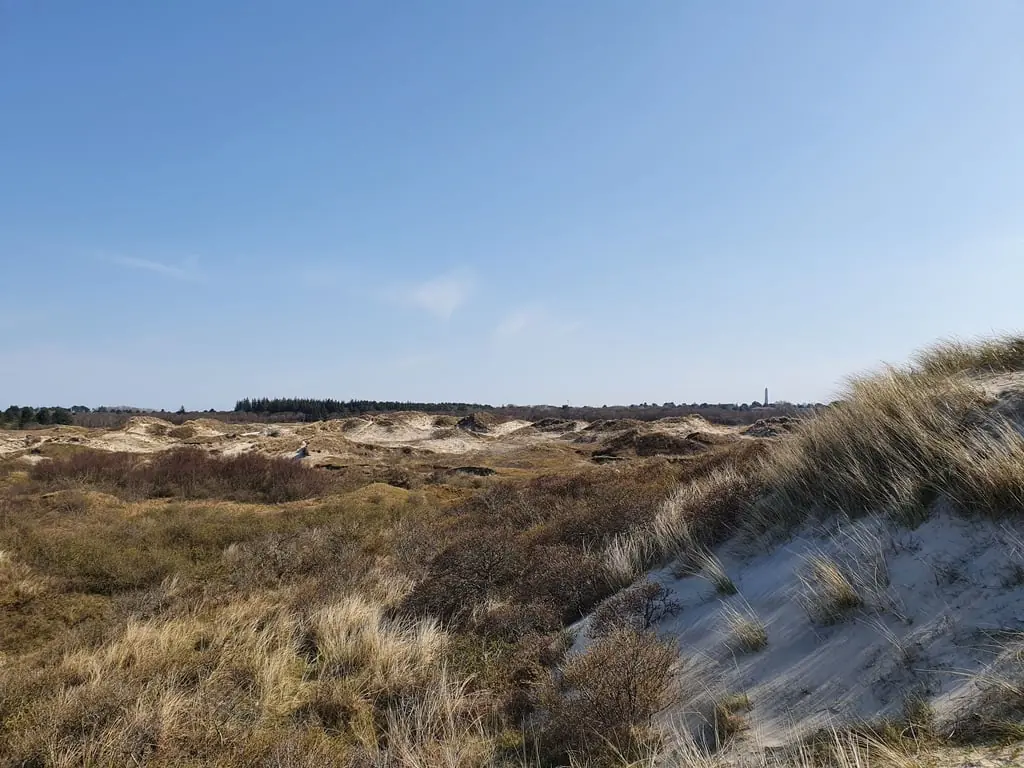 Lytje Dunen Wanderung - November Wandermonat — Informatiecentrum het Baken, Schiermonnikoog