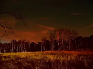 Nacht der Nacht in den Loonse und Drunense Dünen
