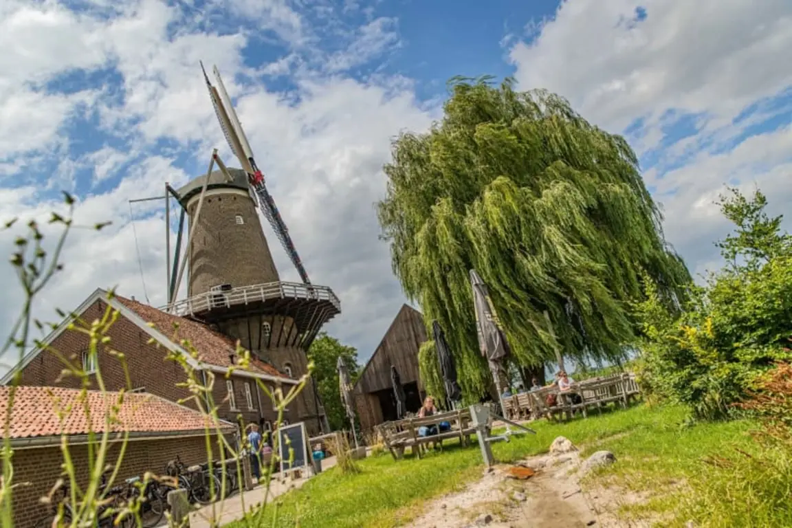 Limburgse Molendag at De Hompesche Molen — Parkeerplaats Hompesche Molen, Stevensweert