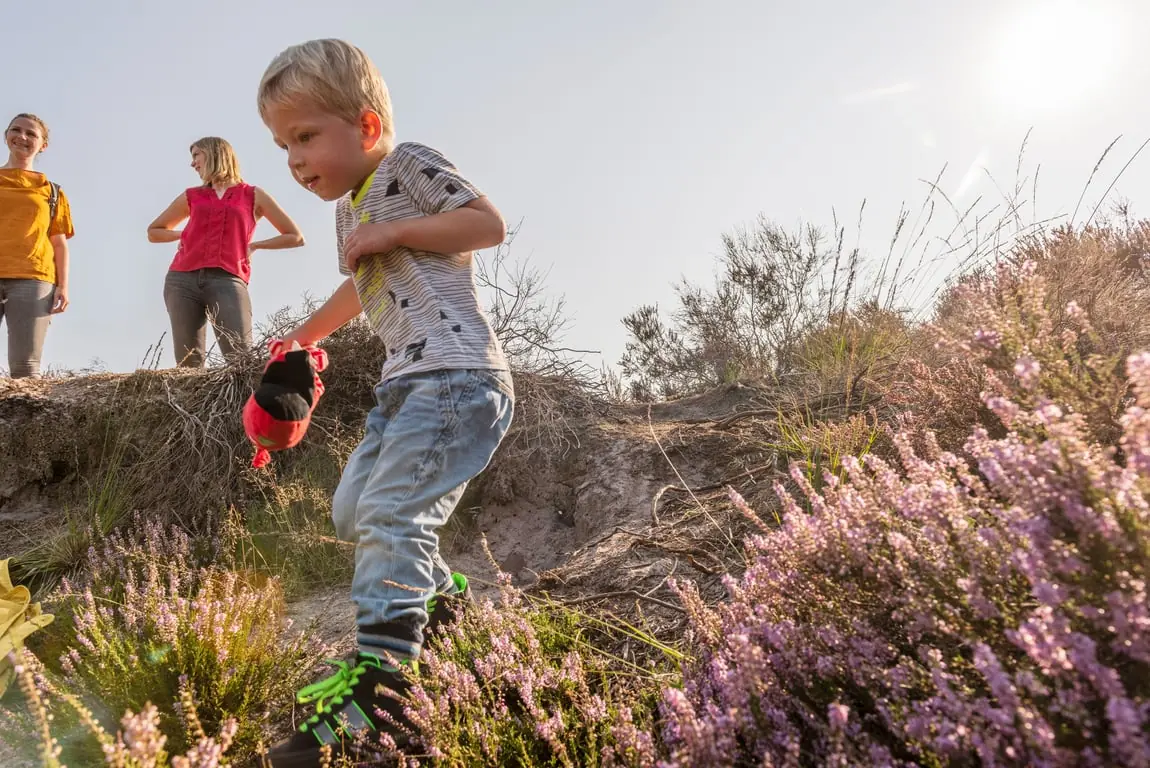 Vier dierendag op de Brunssummerheide — Brunssummerheide, Startpunt, Heerlen