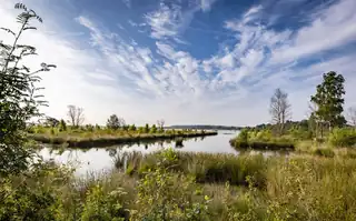 Hochmoor-Exkursion: Erleben Sie das Hochmoor
