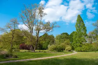 Geführter Spaziergang durch das Arboretum Poort Bulten
