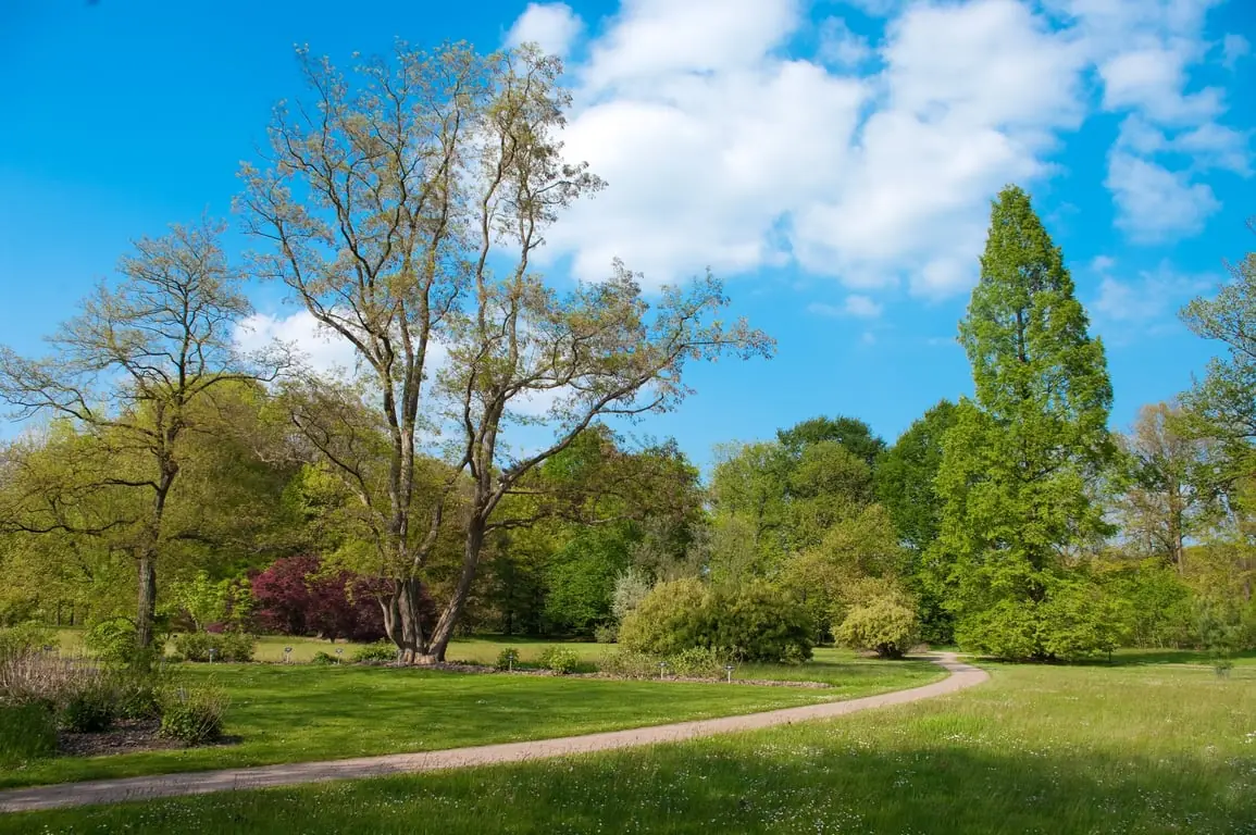 Geführter Spaziergang durch das Arboretum Poort Bulten — Infocentrum Natuurmonumenten, De Lutte