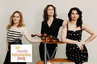 Topmusiker Saeijs, Gvetadze & Bogdanovic auf Schloss Hackfort