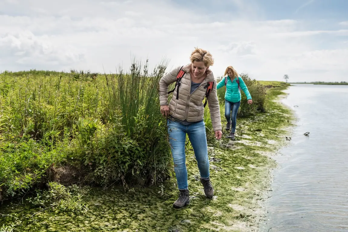 Streifzug über Tiengemeten — Bezoekerscentrum Tiengemeten, Zuid-Beijerland