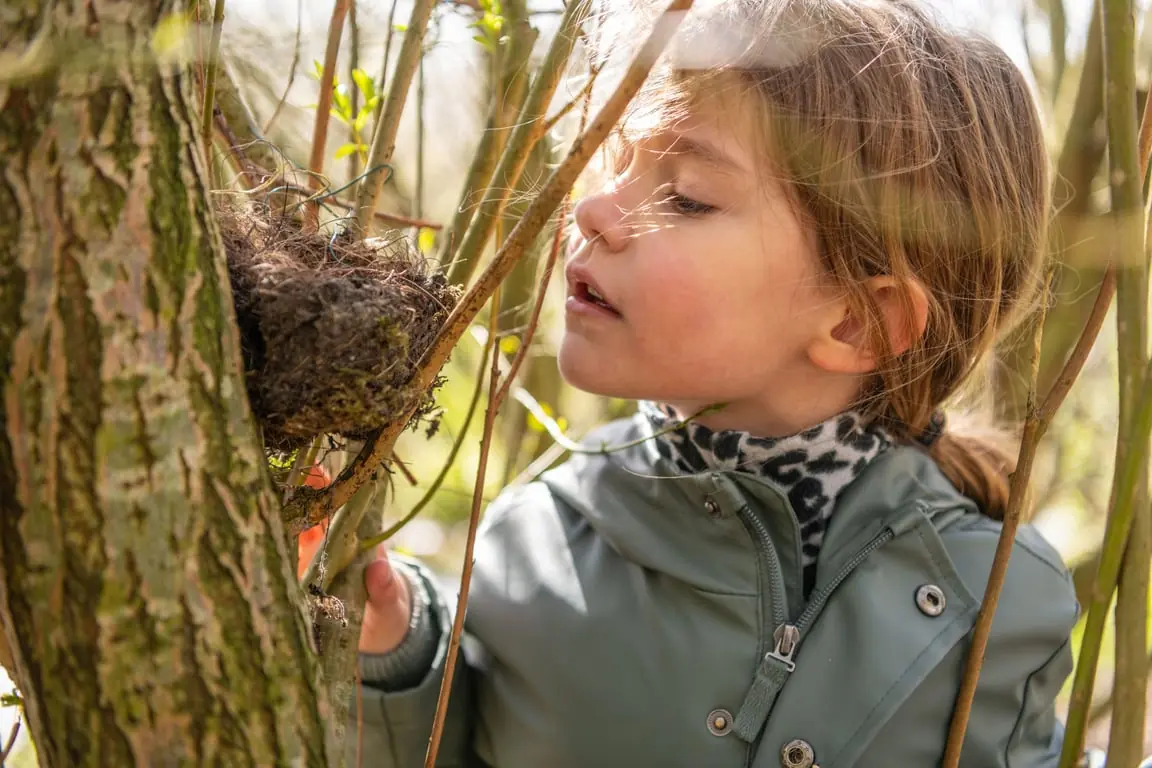 OERRR Speur mee naar sporen op de Brunssummerheide — Brunssummerheide, Startpunt, Heerlen