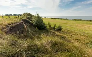 Zwerfafval opruimen op het klif
