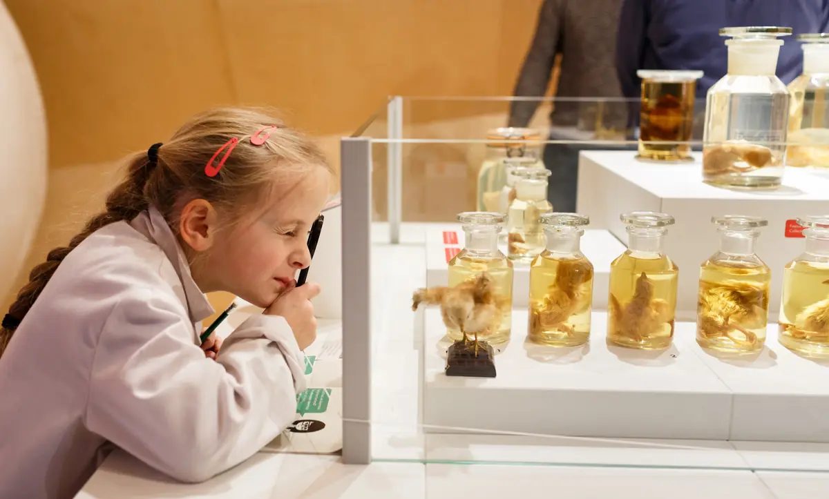Buitengewone Beesten — Museum Natura Docet, Denekamp