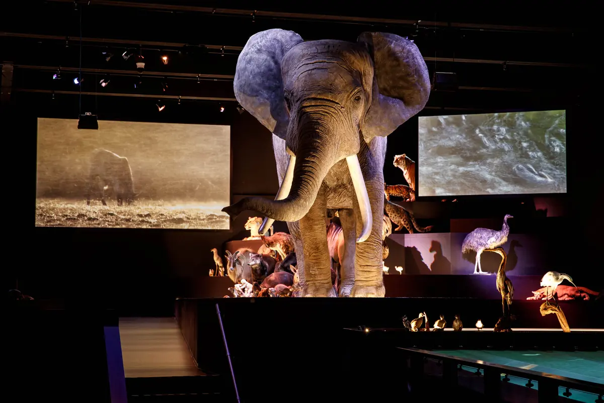 Reizarmer Abend für Erwachsene (16+) — Naturalis, Leiden