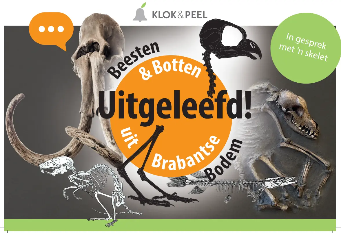 Ausgelebt! Tiere & Knochen aus Brabants Boden — Museum Klok & Peel, Asten