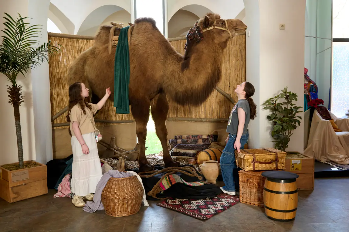 Schaetze der Alten Welt — Museumpark Orientalis, Heilig Landstichting