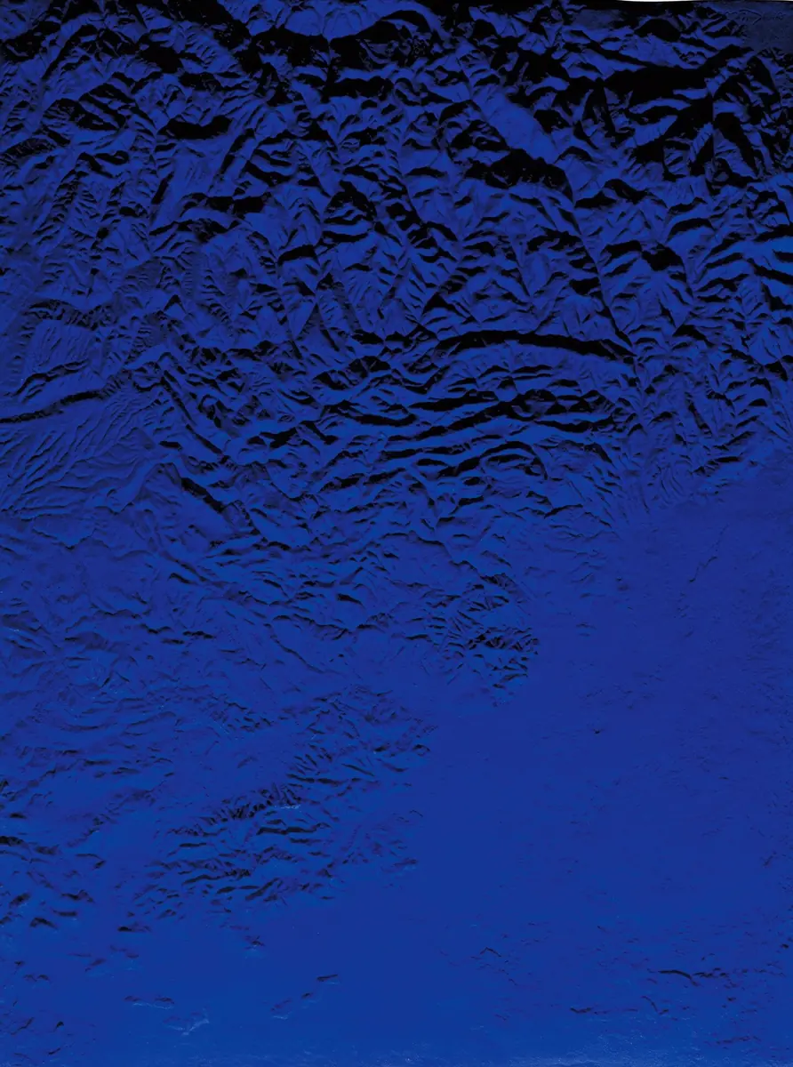 Yves Klein und seine Künstlerfamilie — Stedelijk Museum Schiedam, Schiedam