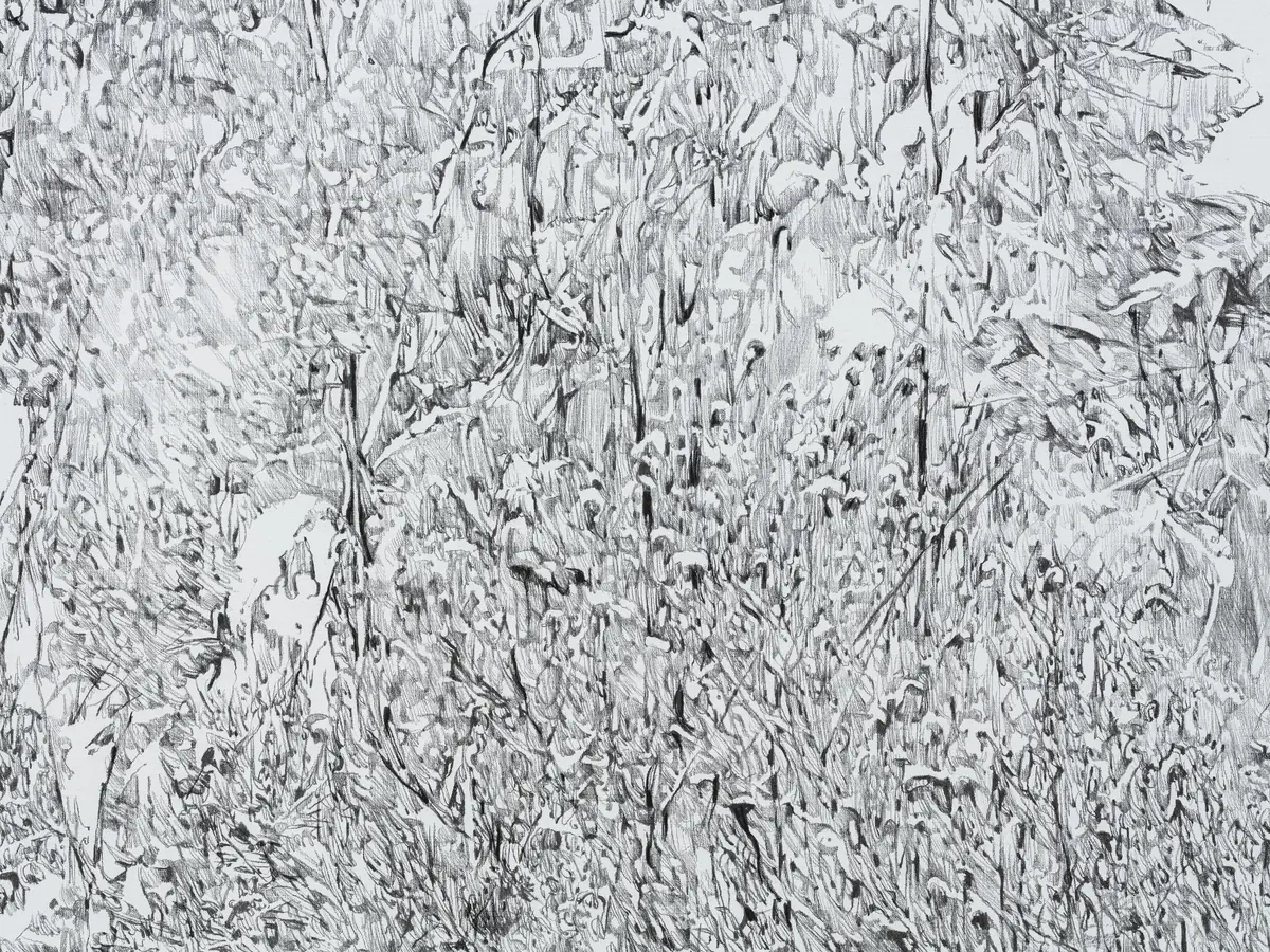 Anouk Griffioen. Solange es noch da ist — Kröller-Müller Museum, Otterlo