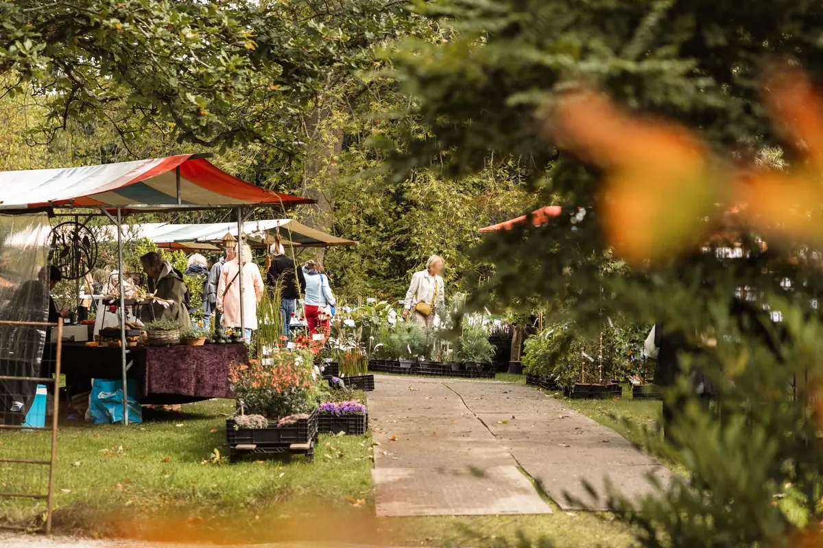 Der Pflanzenmarkt — Trompenburg Tuinen & Arboretum, Rotterdam
