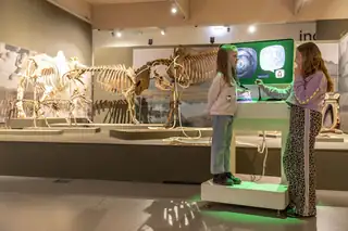 Museumwoche-Aktion 'Ausgelebt!'